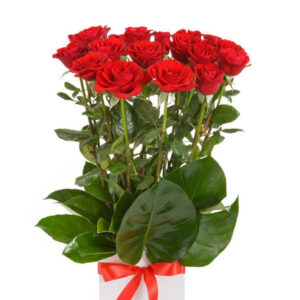 Dozen Red Roses Tall Box Arrangement