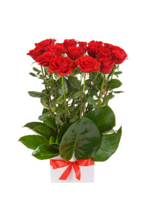 Dozen Red Roses Tall Box Arrangement