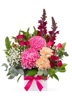 Pink Harmony Box delivery Perth