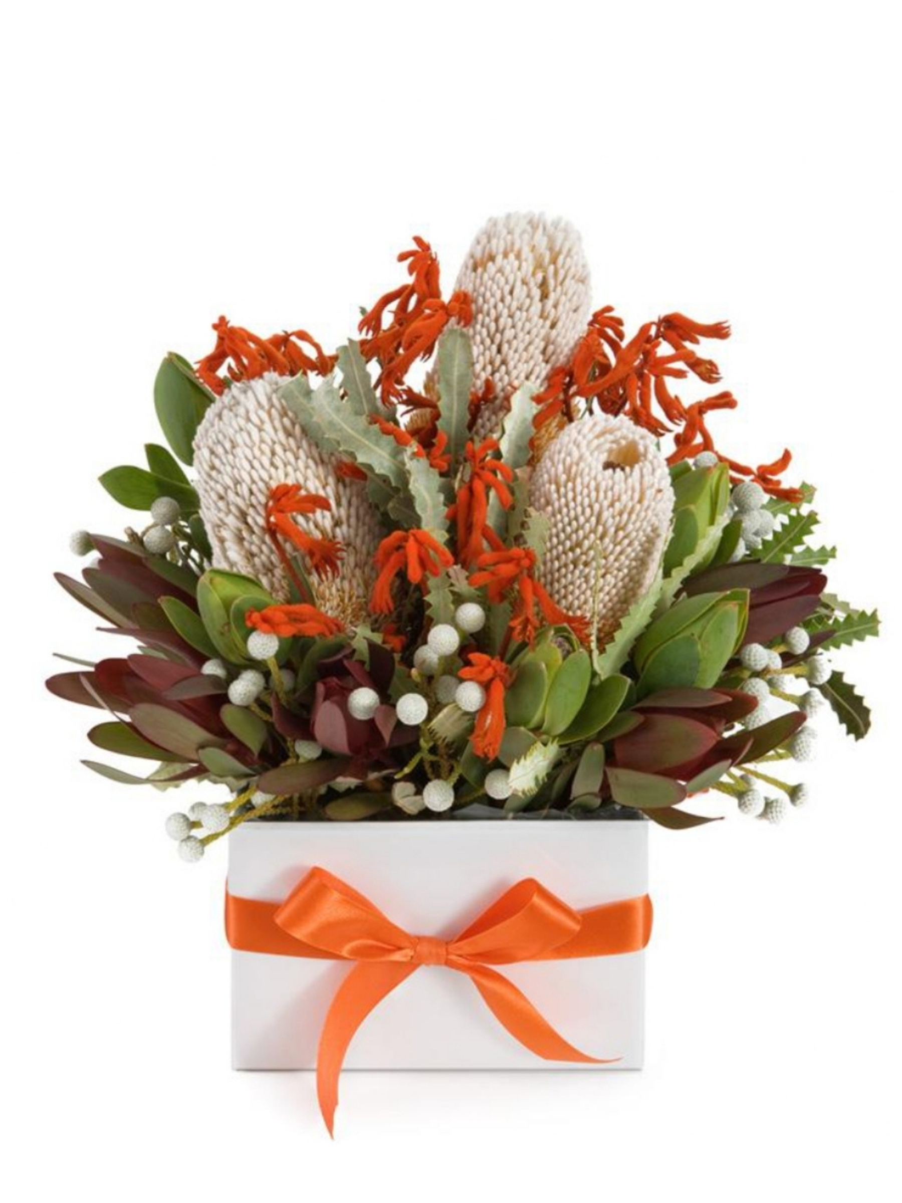 White/Cream Banksia 1 White/Cream Banksia