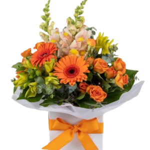 Orange Gerberas