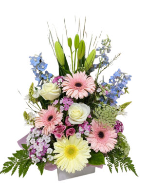 Pastel Dream Arrangement
