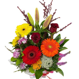 Colour Burst Arrangement