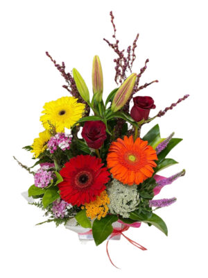 Colour Burst Arrangement