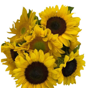 Sunny Sunflower Bunch