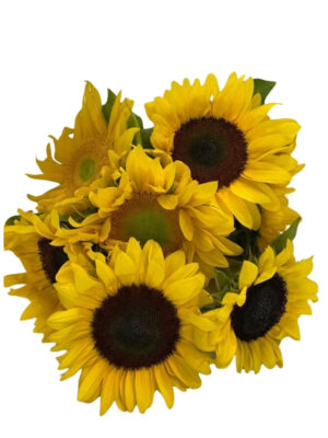 Sunny Sunflower Bunch
