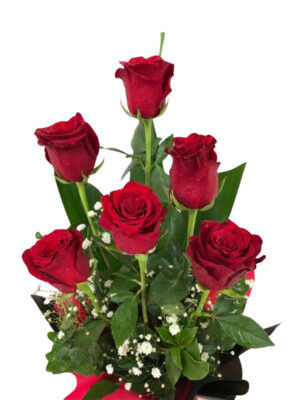 Eternal Elegance Rose Bouquet