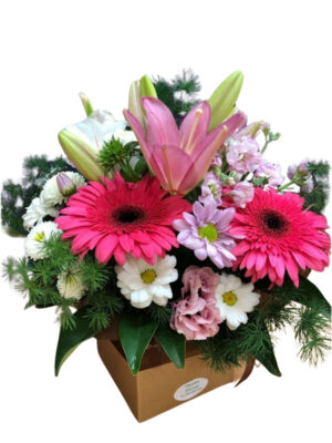 Pink Blossom Delight