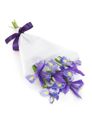 Colourburst Blooms Box