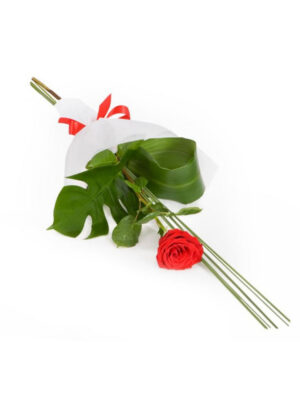 Elegant Single Red Rose