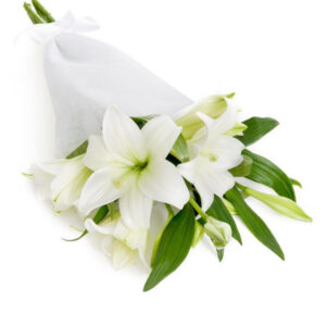 Pure White Lily Wrap
