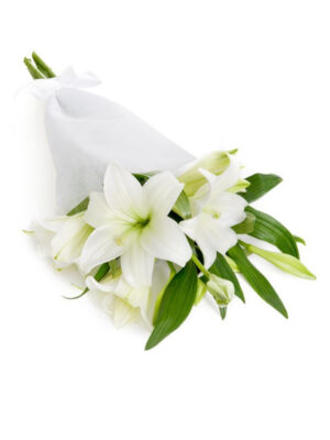 Pure White Lily Wrap