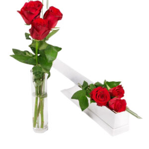 Classic Red Roses Set
