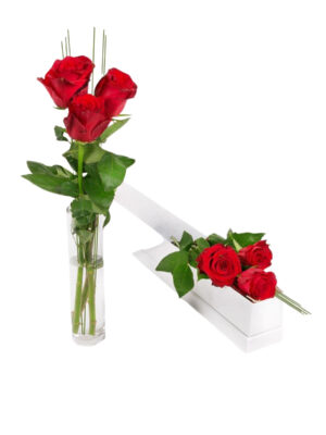 Classic Red Roses Set