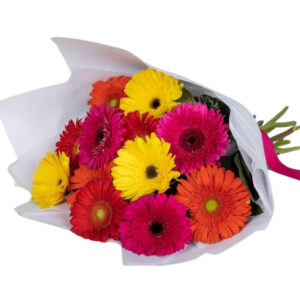 Rainbow Gerbera Bouquet