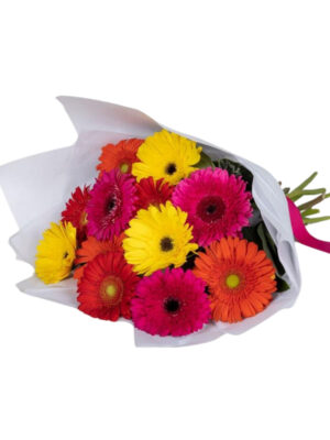 Rainbow Gerbera Bouquet
