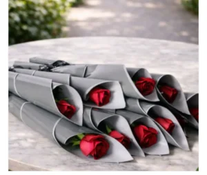 Scarborough Solo Rose Sleek 2 Valentine day flower and birthdya flower